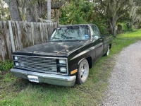 1982 Chevrolet C10 for sale in Michigan (ID-118797)