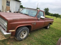 1982 Chevrolet C10 for sale in Michigan (ID-123043)