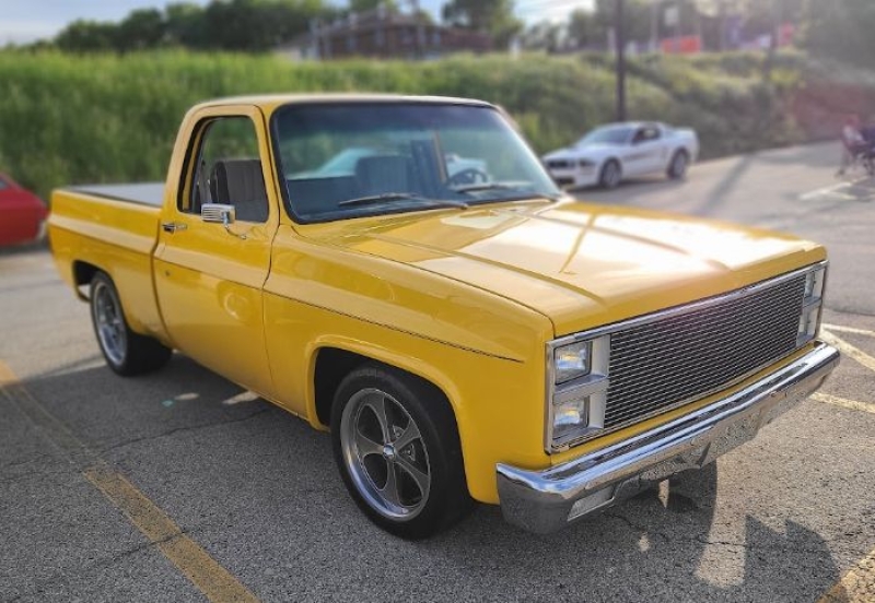 1982 Chevrolet C10 for sale in Michigan (ID-130105)