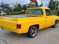 1982 Chevrolet C10 for sale in Michigan (ID-130105)