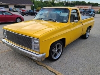 1982 Chevrolet C10 for sale in Michigan (ID-130105)