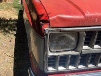 1982 Chevrolet C10 for sale in Michigan (ID-134511)