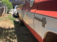 1982 Chevrolet C10 for sale in Michigan (ID-134511)