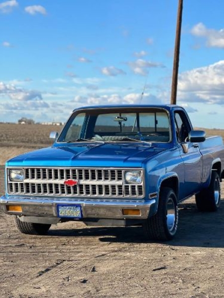 1982 Chevrolet C10 for sale in Michigan (ID-144626)