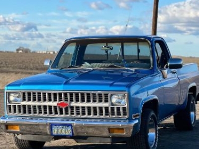 1982 Chevrolet C10 for sale