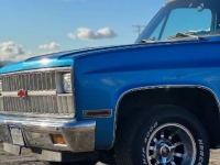 1982 Chevrolet C10 for sale in Michigan (ID-144626)