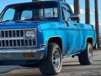 1982 Chevrolet C10 for sale in Michigan (ID-144626)