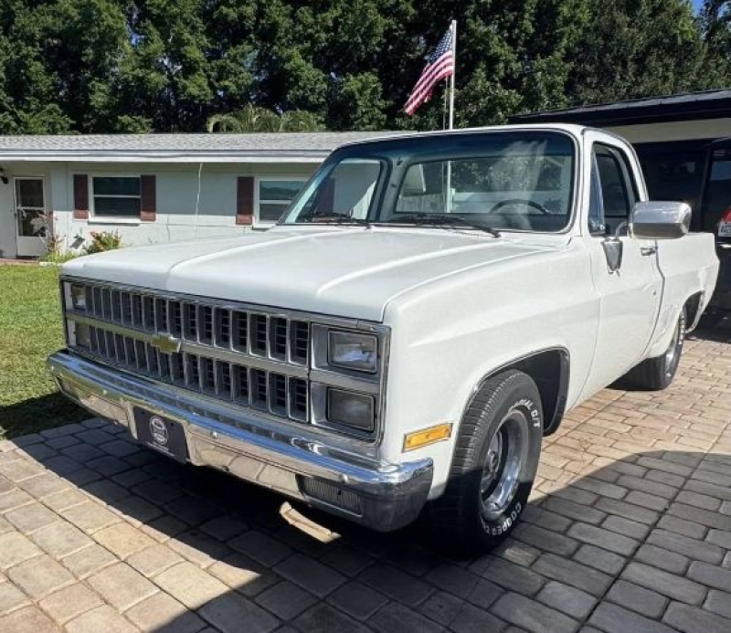 1982 Chevrolet C10 for sale in Michigan (ID-146360)