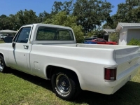 1982 Chevrolet C10 for sale in Michigan (ID-146360)