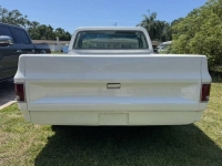 1982 Chevrolet C10 for sale in Michigan (ID-146360)