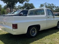 1982 Chevrolet C10 for sale in Michigan (ID-146360)
