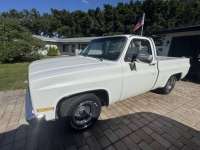 1982 Chevrolet C10 for sale in Michigan (ID-146360)