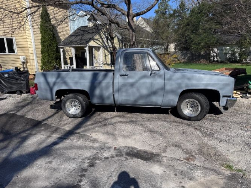 1982 Chevrolet C10 for sale in Michigan (ID-162197)
