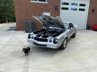 1982 Chevrolet Camaro for sale in Michigan (ID-120351)