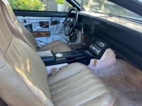 1982 Chevrolet Camaro for sale in Michigan (ID-130348)