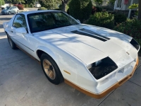 1982 Chevrolet Camaro for sale in Michigan (ID-130348)
