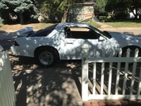 1982 Chevrolet Camaro for sale in Michigan (ID-138316)