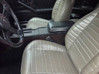 1982 Chevrolet Camaro for sale in Michigan (ID-163156)