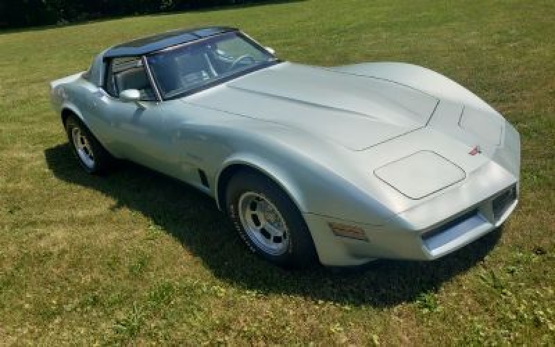 1982 Chevrolet Corvette for sale in Michigan (ID-101864)
