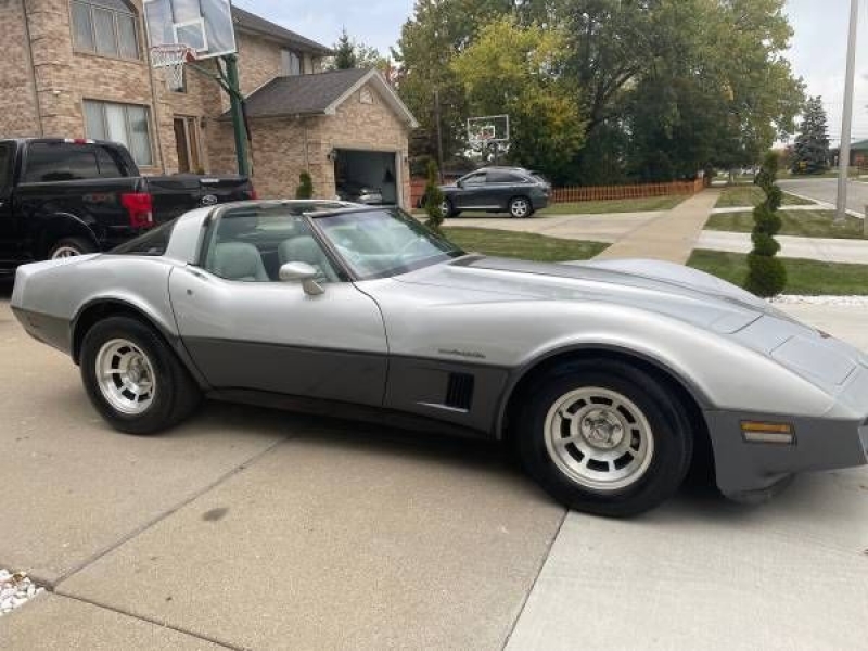 1982 Chevrolet Corvette for sale in Michigan (ID-108417)