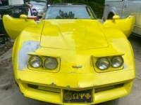 1982 Chevrolet Corvette for sale in Michigan (ID-110245)
