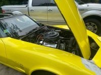 1982 Chevrolet Corvette for sale in Michigan (ID-110245)