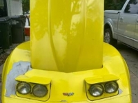 1982 Chevrolet Corvette for sale in Michigan (ID-110245)