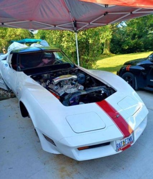1982 Chevrolet Corvette for sale in Michigan (ID-113698)