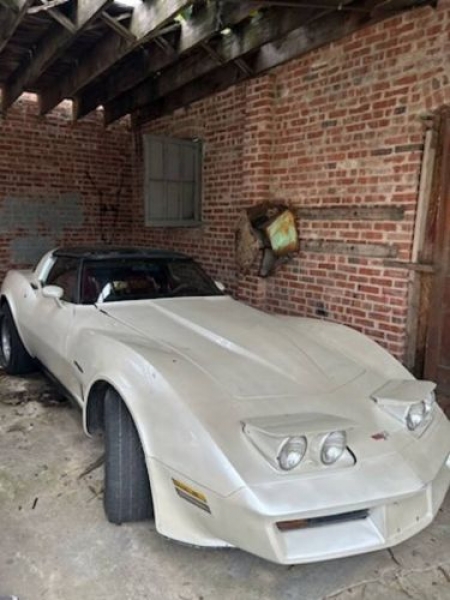 1982 Chevrolet Corvette for sale in Michigan (ID-120392) 1982 Chevrolet Corvette for sale in Michigan (ID-120392)