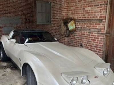 1982 Chevrolet Corvette for sale
