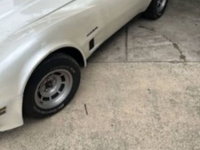 1982 Chevrolet Corvette for sale in Michigan (ID-120392)