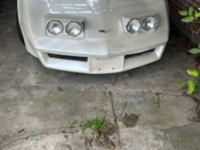 1982 Chevrolet Corvette for sale in Michigan (ID-120392)