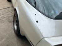 1982 Chevrolet Corvette for sale in Michigan (ID-120392)