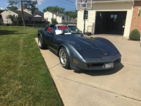 1982 Chevrolet Corvette for sale in Michigan (ID-120399)