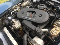 1982 Chevrolet Corvette for sale in Michigan (ID-120399)