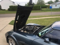 1982 Chevrolet Corvette for sale in Michigan (ID-120399)
