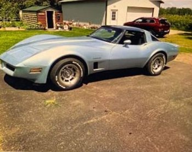 1982 Chevrolet Corvette for sale in Michigan (ID-120423)