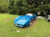 1982 Chevrolet Corvette for sale in Michigan (ID-122474)