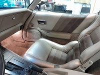 1982 Chevrolet Corvette for sale in Michigan (ID-123238)