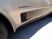 1982 Chevrolet Corvette for sale in Michigan (ID-123238)