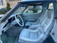 1982 Chevrolet Corvette for sale in Michigan (ID-123545)