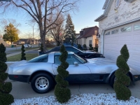 1982 Chevrolet Corvette for sale in Michigan (ID-123545)