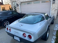 1982 Chevrolet Corvette for sale in Michigan (ID-123545)