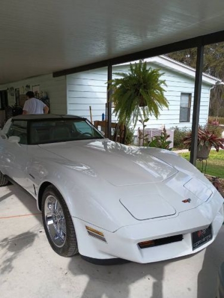 1982 Chevrolet Corvette for sale in Michigan (ID-125569)