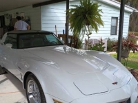 1982 Chevrolet Corvette for sale in Michigan (ID-125569)