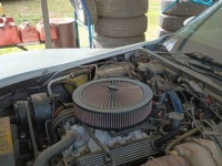 1982 Chevrolet Corvette for sale in Michigan (ID-125569)