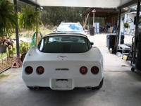 1982 Chevrolet Corvette for sale in Michigan (ID-125569)