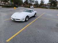 1982 Chevrolet Corvette for sale in Michigan (ID-126077)