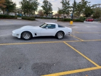 1982 Chevrolet Corvette for sale in Michigan (ID-126077)