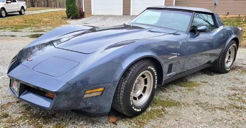 1982 Chevrolet Corvette for sale in Michigan (ID-126503)